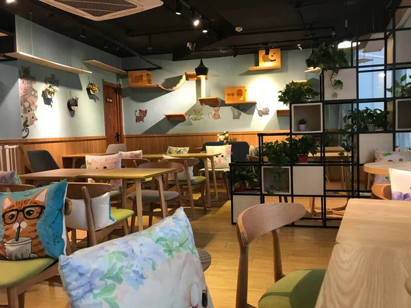 Interior Una Cafetería Moderna — Foto de Stock