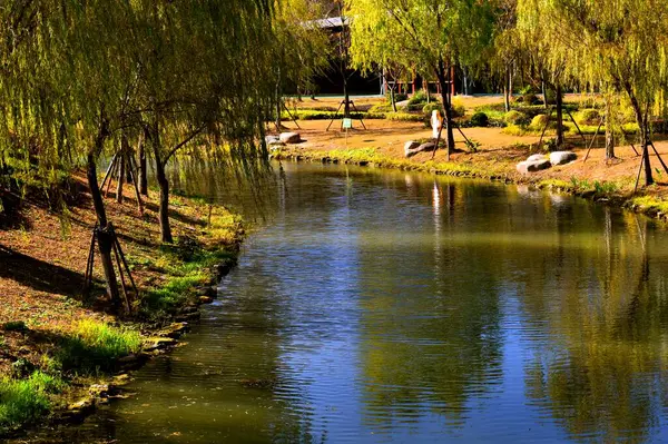 Stock image beautiful view of the river in the park