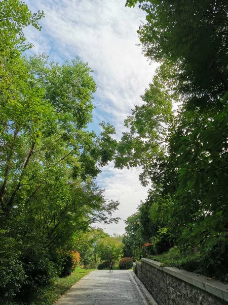 stock image beautiful view of the park