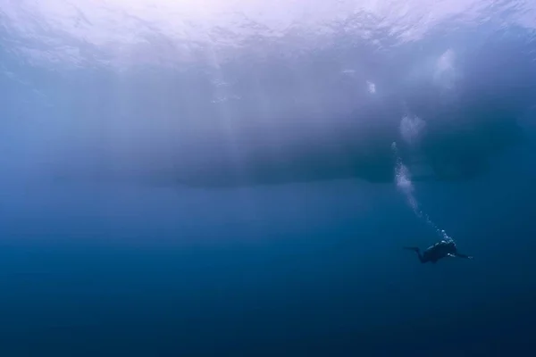 Vista Subaquática Uma Bela Paisagem Tropical Com Grande Tubarão Branco — Fotografia de Stock