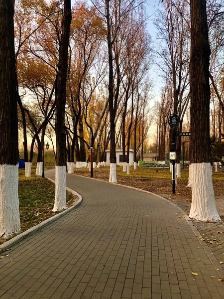 stock image autumn park in the city