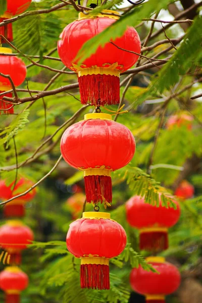 Chinese New Year Red Lantern Bright Colorful Beautiful — Stock Photo, Image