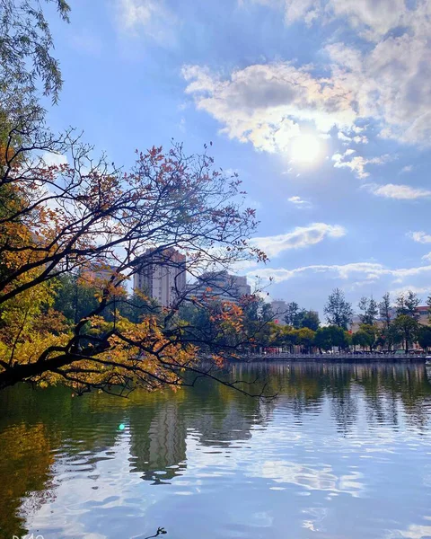 Beautiful View Park — Stock Photo, Image