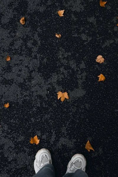 Hojas Otoño Sobre Fondo Negro — Foto de Stock