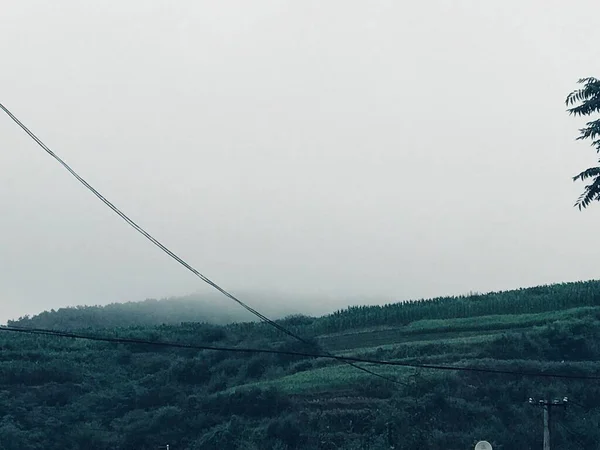 Hermoso Paisaje Con Árbol Una Montaña — Foto de Stock