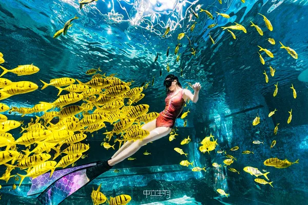 Foto Subaquática Uma Jovem Nadando Piscina — Fotografia de Stock