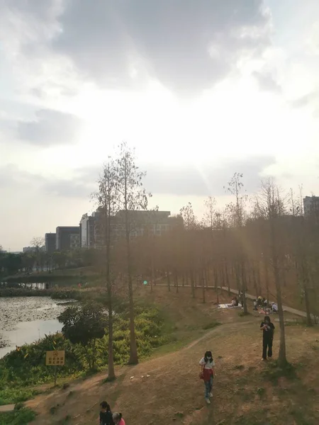 stock image view of the city of the park in the morning