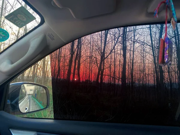 car driving through the window of the forest
