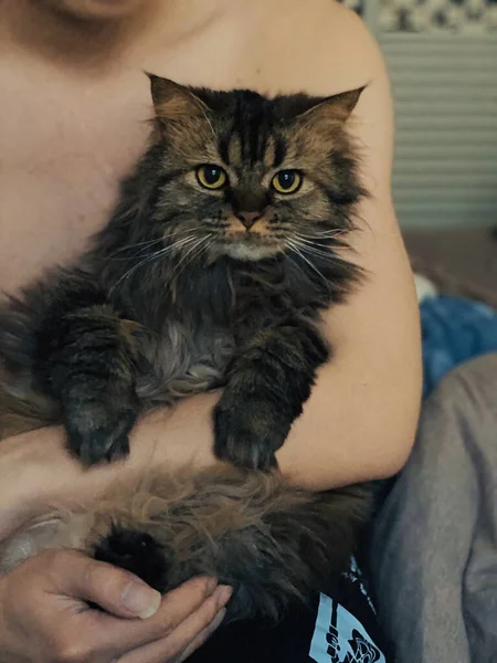 a man with a cat in the hands of a woman