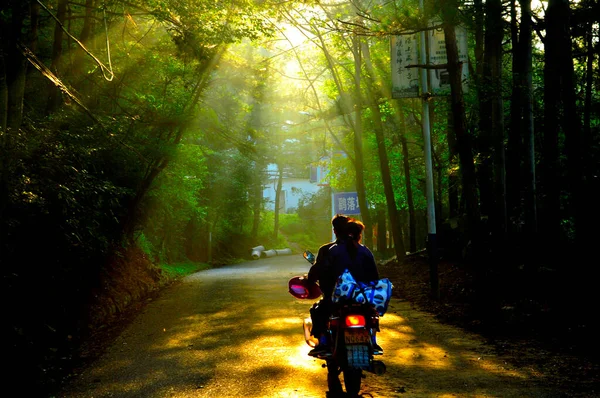 young woman riding bicycle in the forest