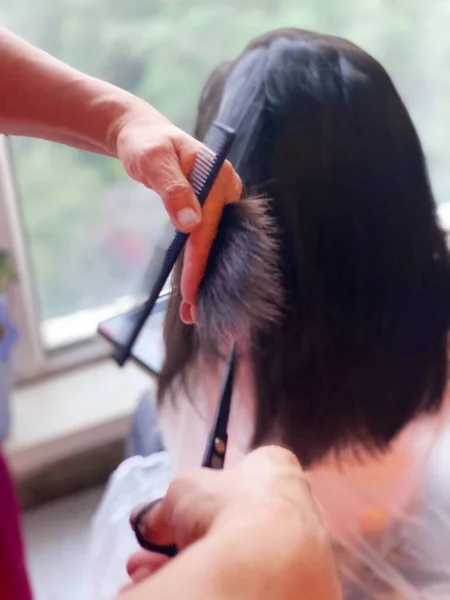 hairdresser makes haircut in salon