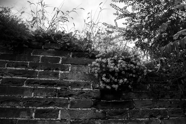 old brick wall with a black and white
