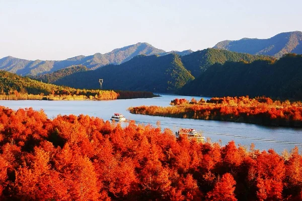 stock image beautiful autumn landscape with trees and mountains