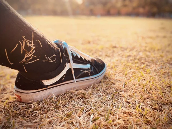 close up of a pair of young woman in sneakers on a green grass