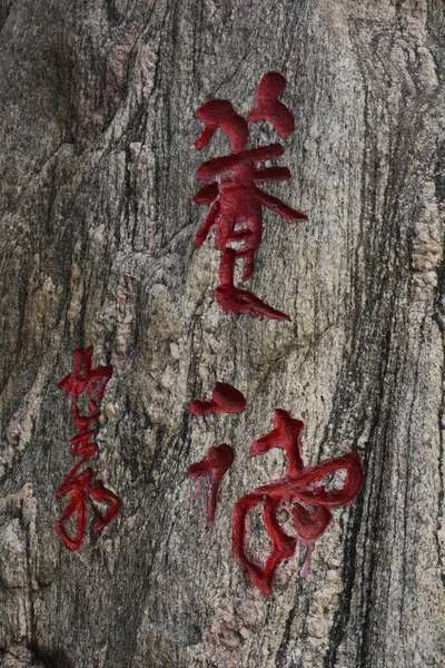 dragon on a stone wall with red and brown background