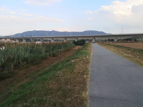 Vista Carretera Ciudad — Foto de Stock