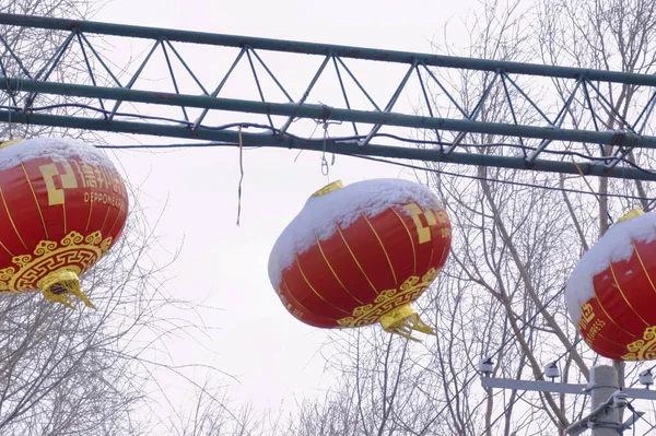 the red and white lanterns in the park