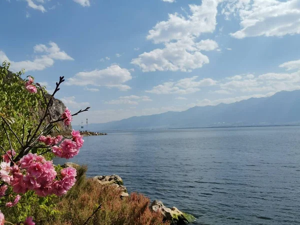 Danau Lansekap Dengan Pegunungan — Stok Foto