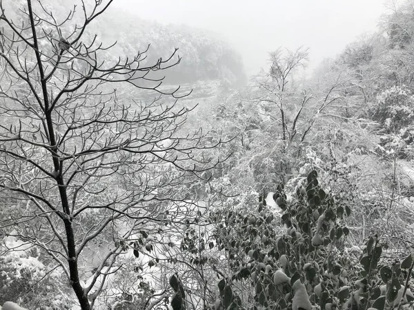 beautiful winter landscape with snow