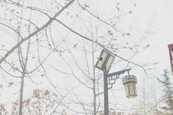 street lamp on the background of the city