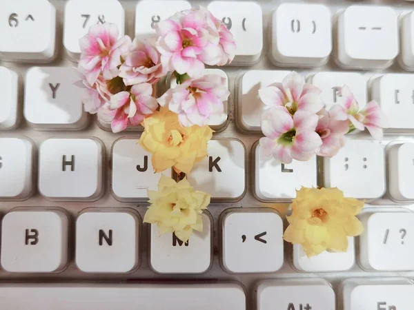 close-up of a flower keyboard with a pen