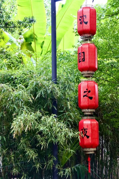 red and green japanese lantern in the park