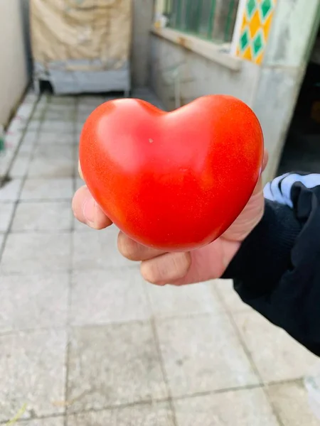 red heart in hands of a woman in the hand of a man