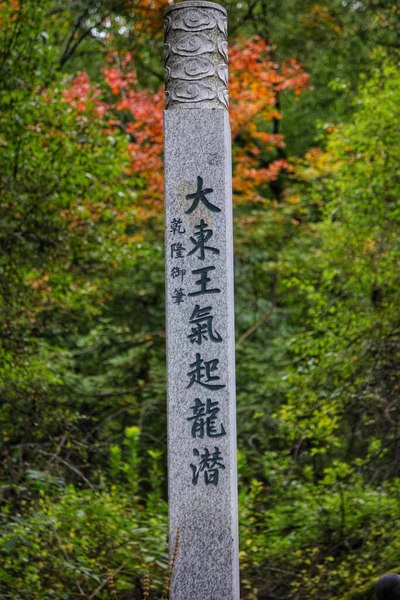 a vertical shot of a wooden sign with a tree