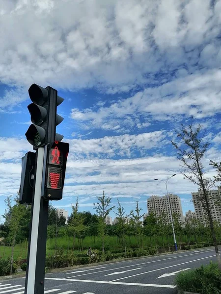 traffic light on the road