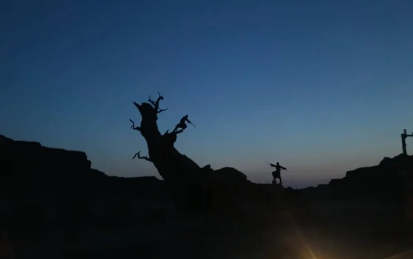 silhouette of a deer in the mountains