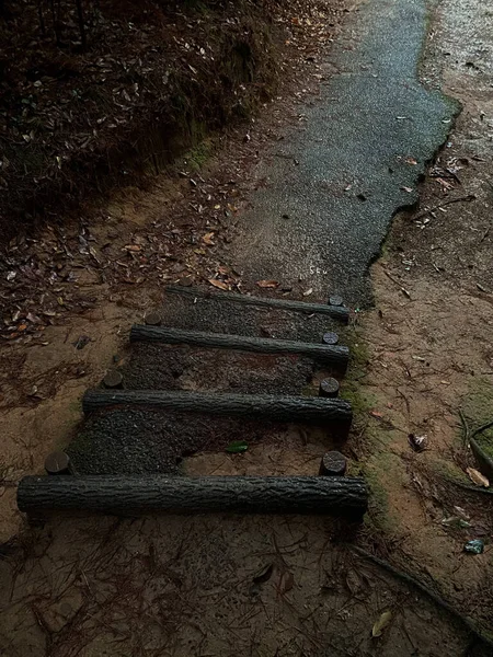 old stone stairs in the forest