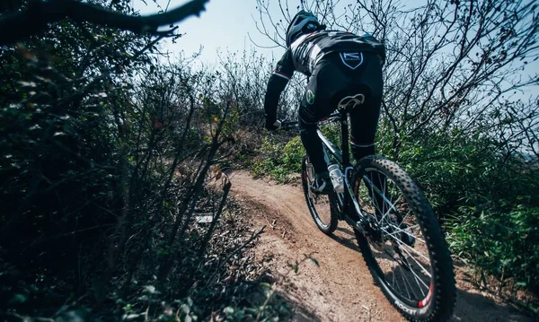 young man riding bicycle in the forest