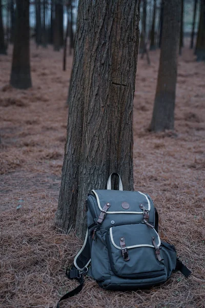 backpack with a bag on the background of the forest.