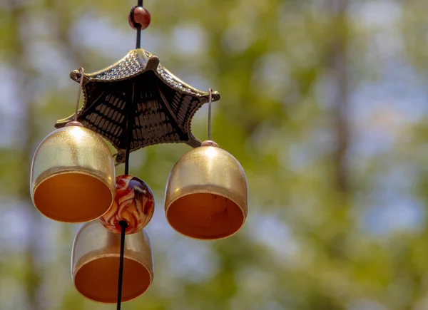 lantern hanging on a tree
