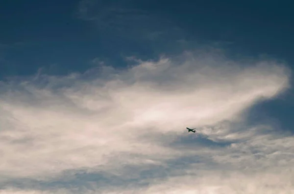 a beautiful view of a bird in the sky