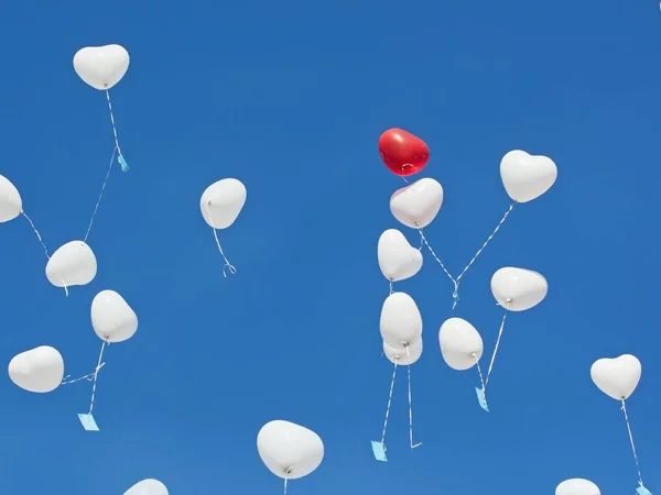 white balloons on blue sky background
