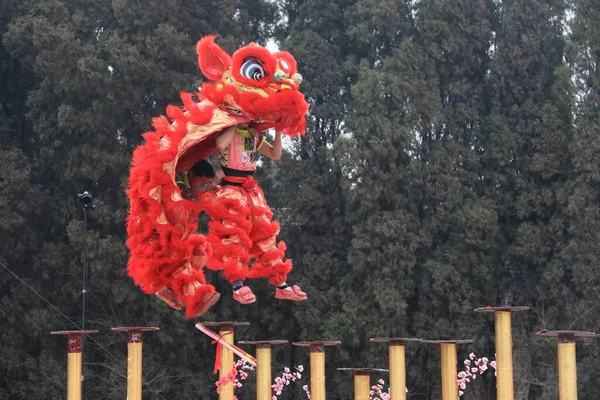 chinese new year festival, the dragon