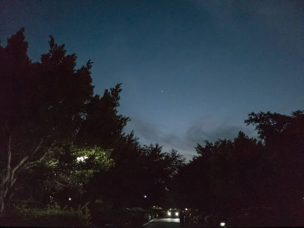 Hermoso Cielo Nocturno Con Árboles — Foto de Stock