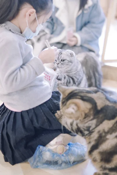 a young woman is sitting in a cat\'s hands with a dog.