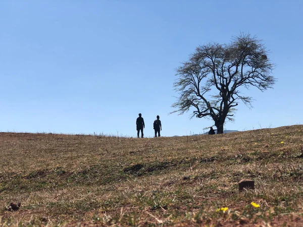 a man and a woman walking in the field