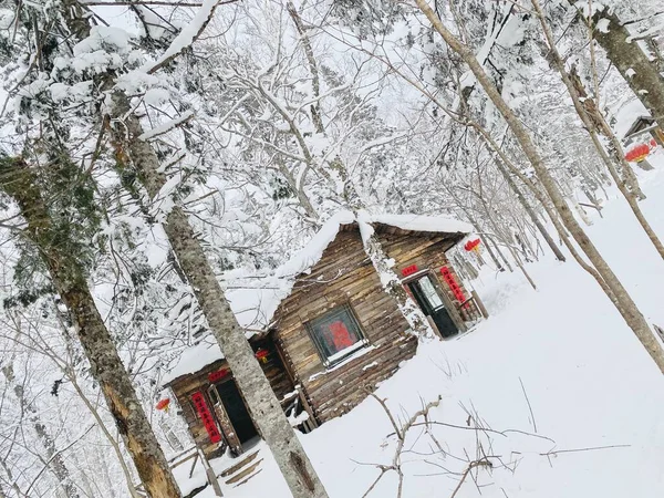 Paisaje Invernal Con Árboles Cubiertos Nieve — Foto de Stock