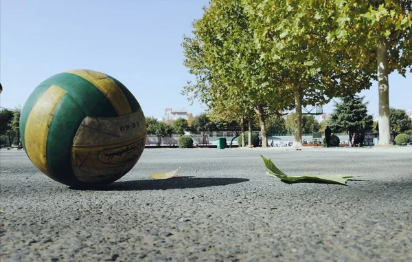 tennis ball on the ground