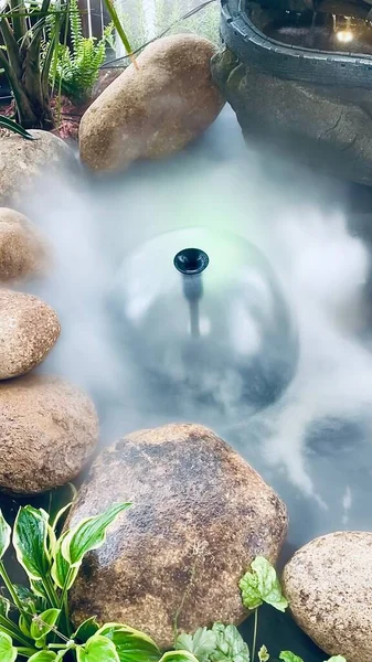 water drops on the stones