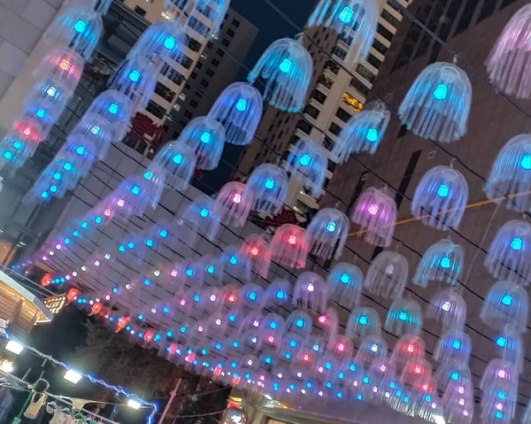 colorful led lights in the night
