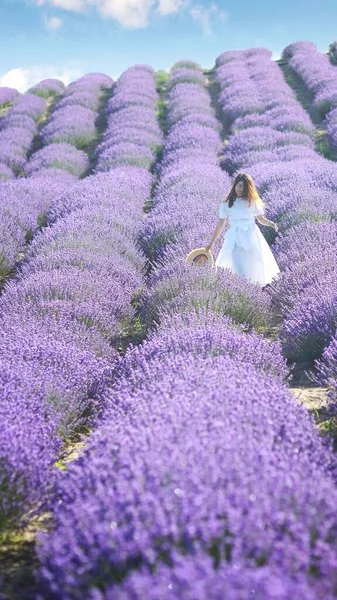 beautiful young woman in lavender field