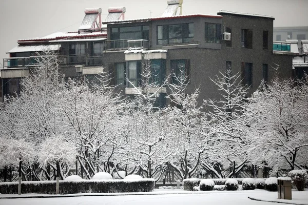 stock image view of the city of the park in the winter