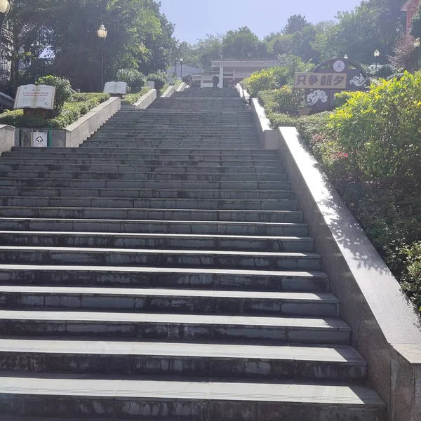 stock image stairs in the park