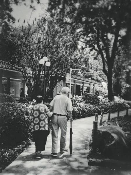 young couple in love walking in the park