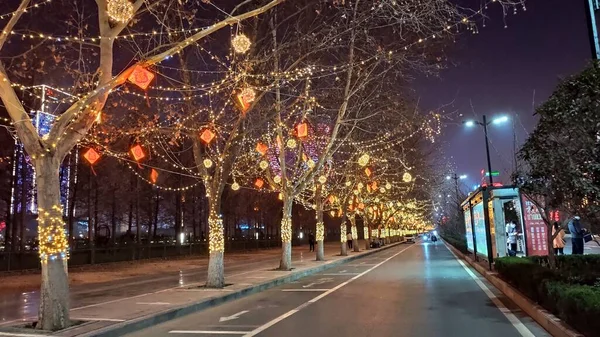 christmas tree in the city