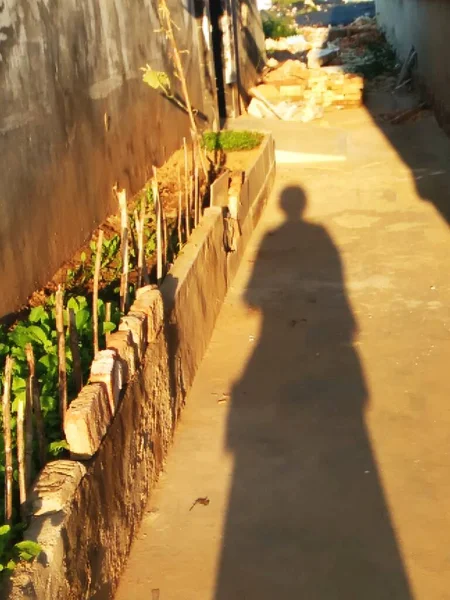 the shadow of the temple in the city of the state of israel